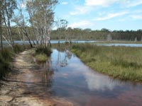 PortLakeCathieCreek1